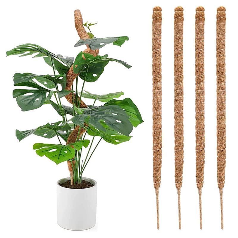 Amazon | 園芸支柱 モンステラ支柱 ココナッツ支柱 観葉植物 つる植物